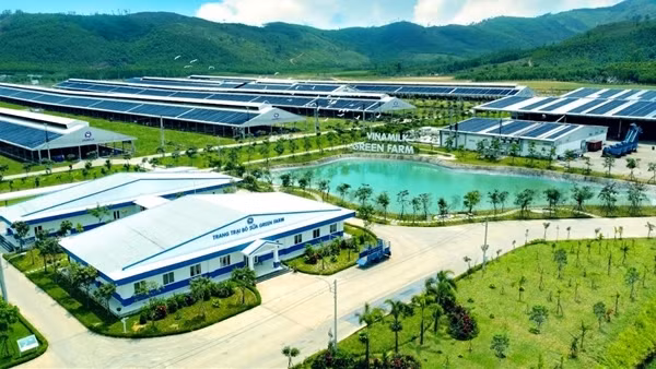 Vinamilk vào Top 5 cổ phiếu đáng quan tâm của Đông Nam Á ảnh 3