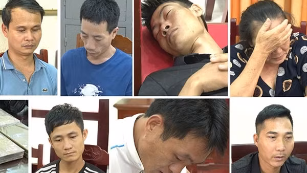 Ngược ngàn đưa “ông trùm” về quy án ảnh 6