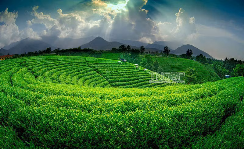 Khi hai mặt nước soi chung bầu trời -0