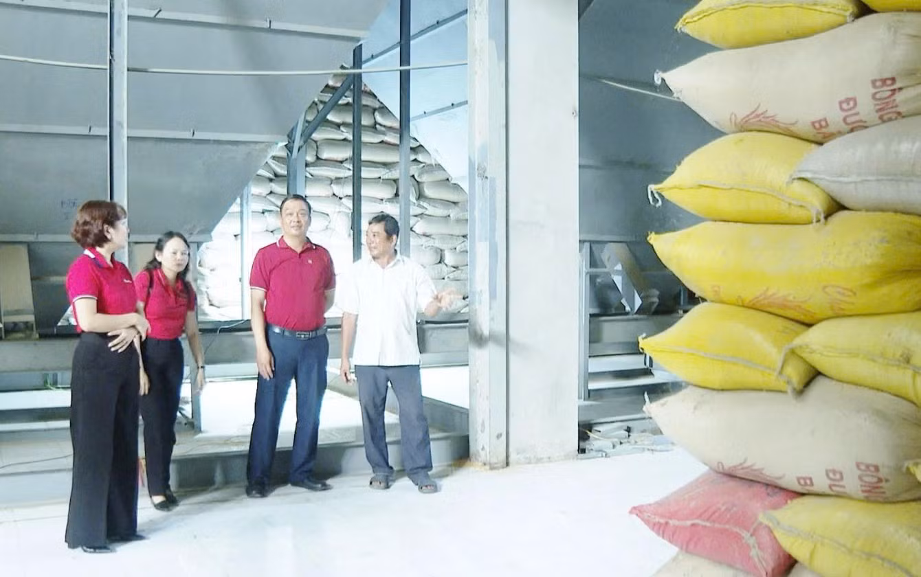 p3.jpg -1