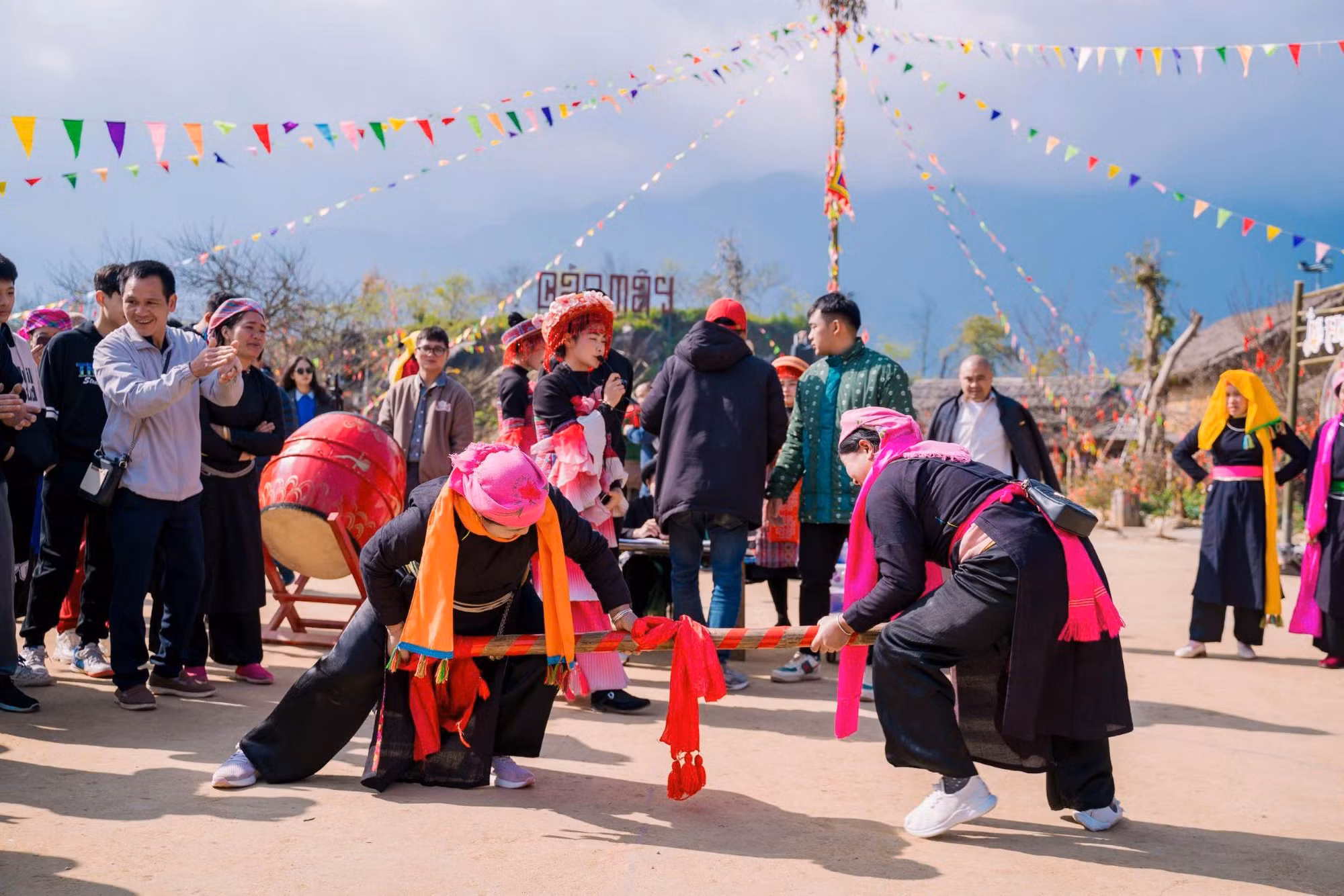 Đẹp ngỡ ngàng những mùa hoa ở Fansipan -1