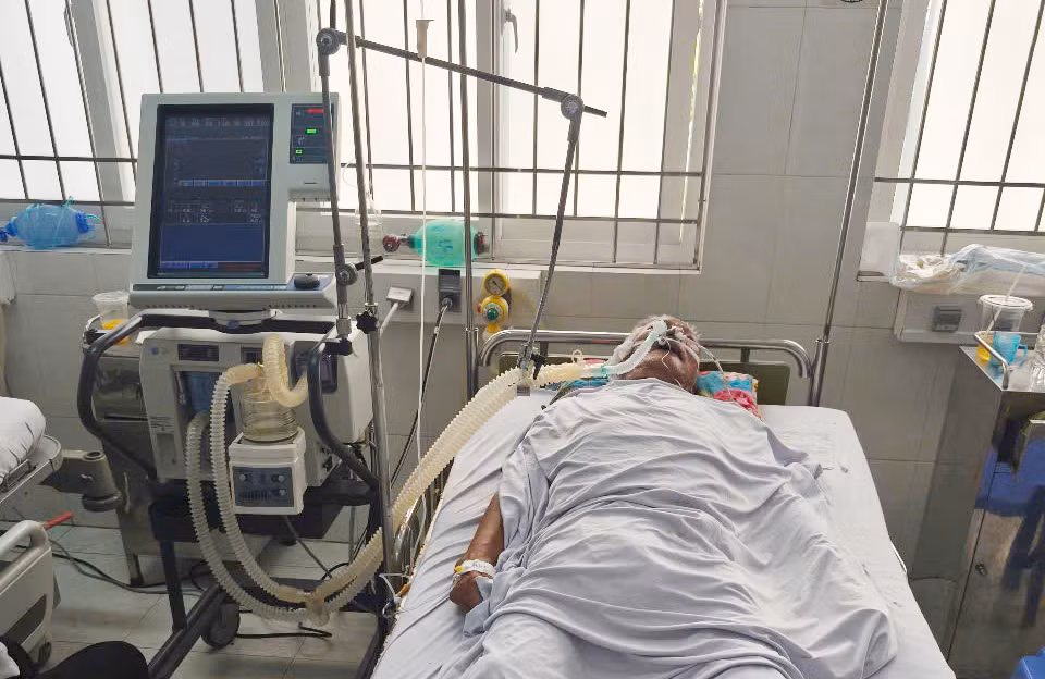 Ăn cá nóc, 4 người ở Cà Mau bị ngộ độc -0