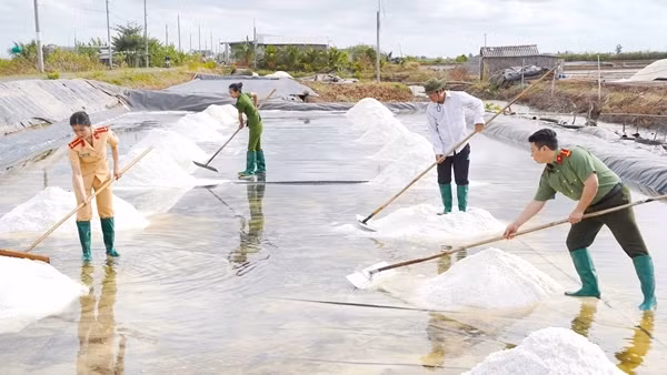 Bảo đảm tuyệt đối an toàn Festival nghề muối Việt Nam lần đầu tổ chức tại Bạc Liêu