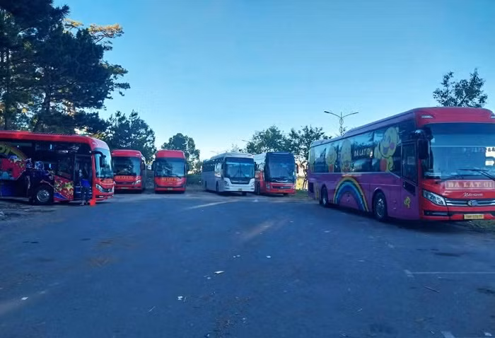 Doanh nghiệp đua nhau lập điểm, đón trả khách trong nội ô Đà Lạt -0