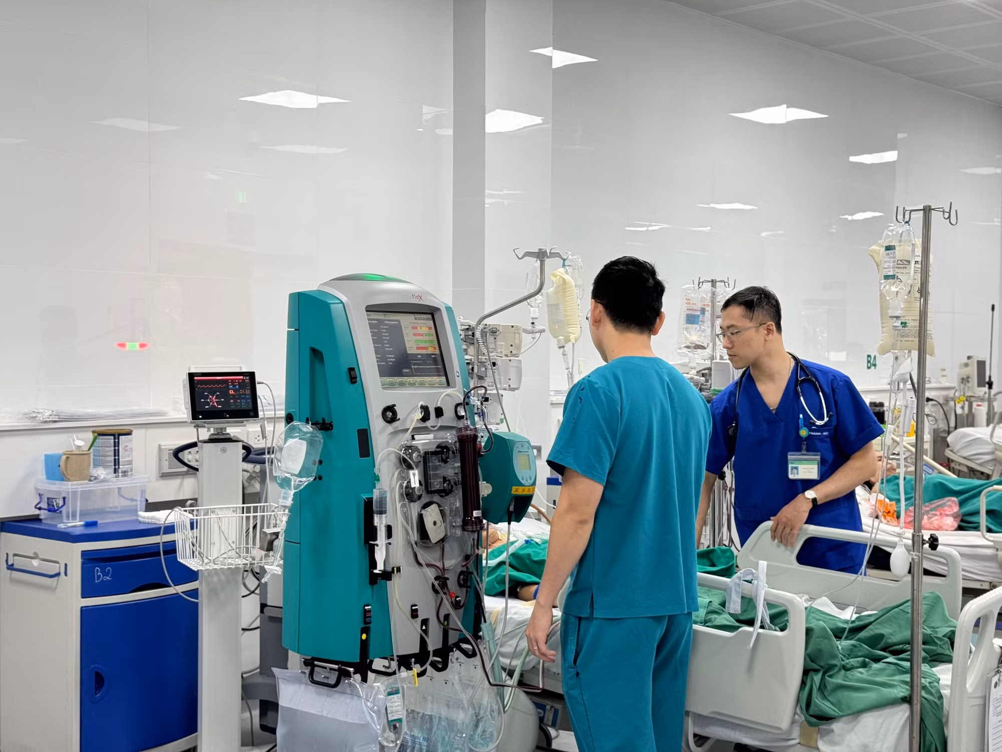 Bị ong mật đốt, bé gái 13 tuổi suýt tử vong -0