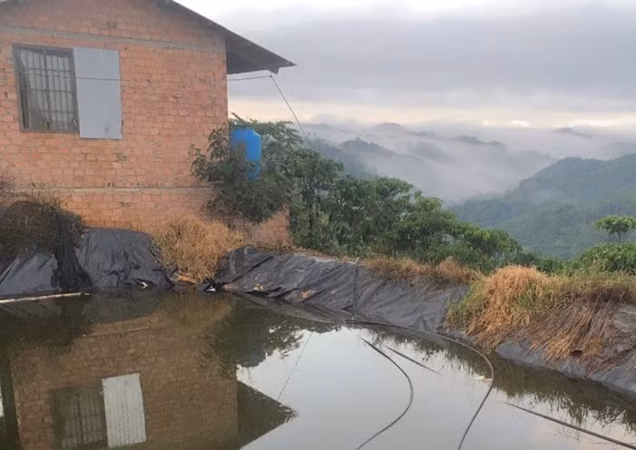 Đi làm về, cha mẹ đau đớn vớt xác hai con -0