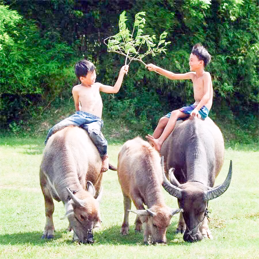 Kí ức tháng Bảy -0