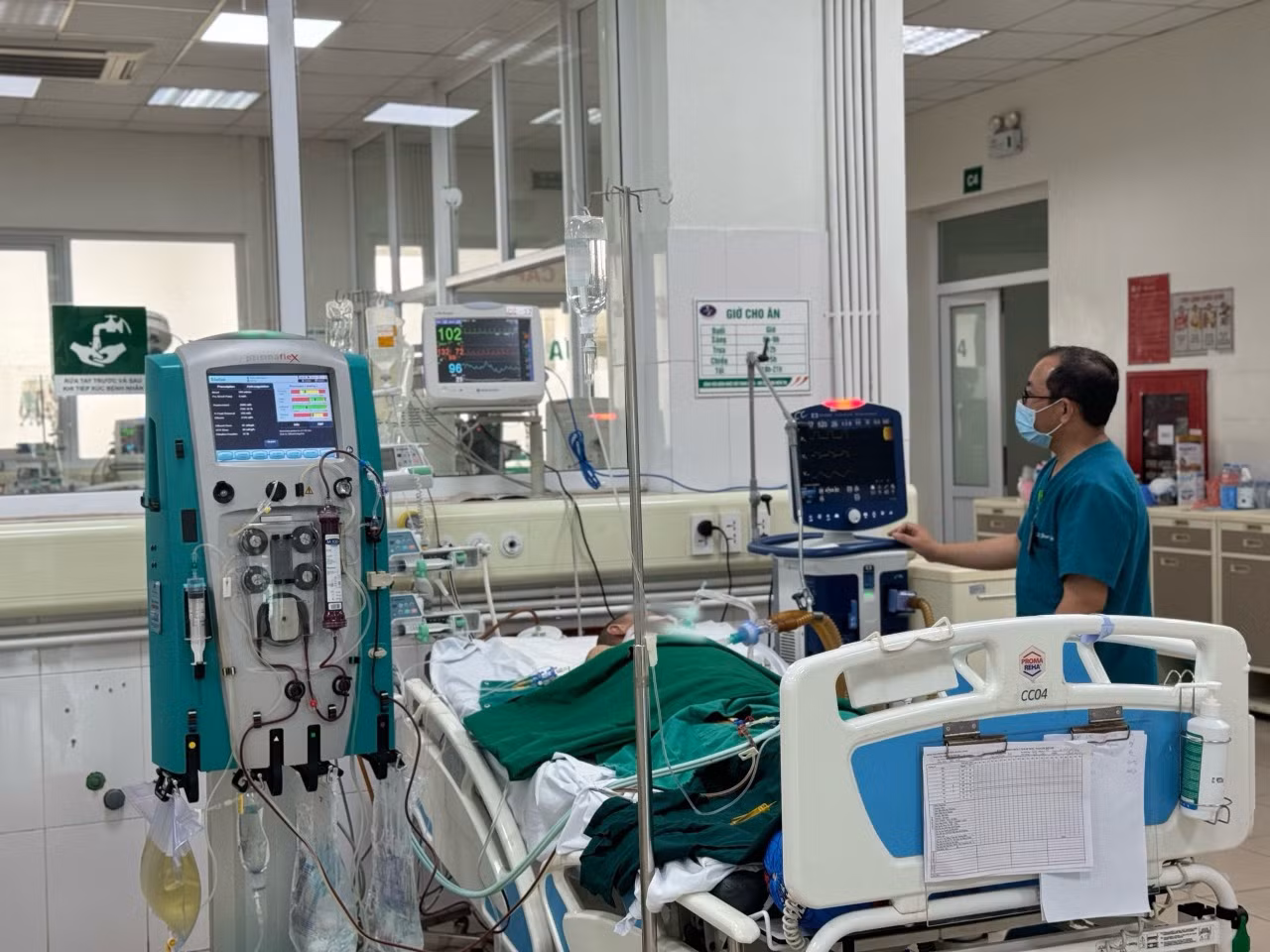 Mua thủ lợn về chế biến, người đàn ông mắc liên cầu nguy kịch -0