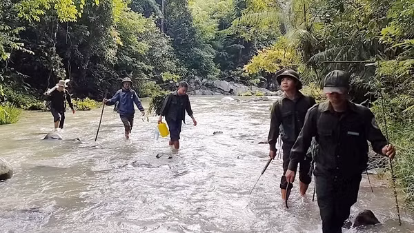 Triển khai nhiều giải pháp quản lý, bảo vệ rừng tại Nam Giang