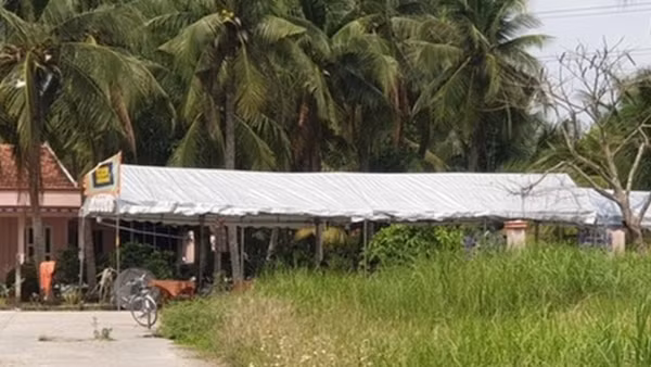 Uống rượu ngâm rễ cây chữa xương khớp, 2 người nhập viện ảnh 4
