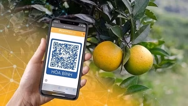 Thúc đẩy hoạt động xuất nhập khẩu qua thương mại điện tử ảnh 2