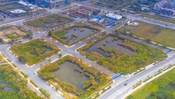 Cưỡng chế trích tiền từ tài khoản 2 doanh nghiệp trúng đấu giá đất Thủ Thiêm ảnh 3