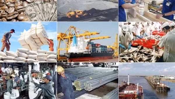 Gạo là mặt hàng xuất khẩu lớn nhất của Việt Nam sang châu Phi ảnh 3