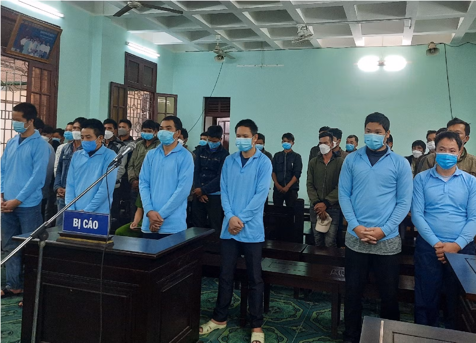 Hai cán bộ kiểm lâm lãnh án vì nhận hối lộ để tiếp tay lâm tặc phá rừng -0