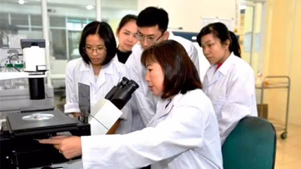 Đổi mới sáng tạo các sản phẩm khoa học và công nghệ ảnh 2