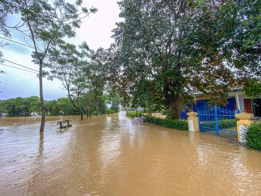 Lũ trái mùa nhấn chìm hàng nghìn héc ta lúa, hoa màu ở Thừa Thiên-Huế -0