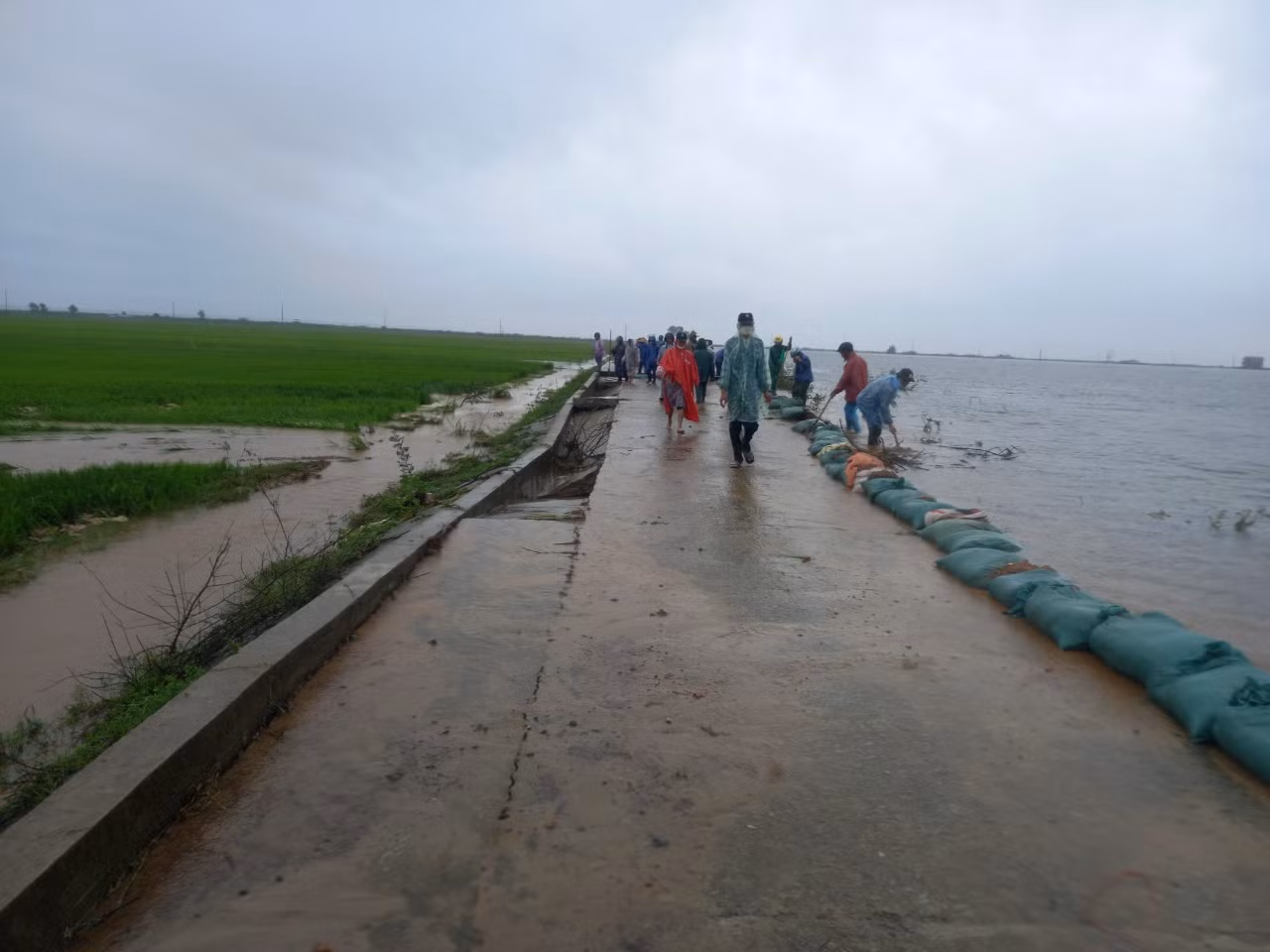Lũ trái mùa nhấn chìm hàng nghìn héc ta lúa, hoa màu ở Thừa Thiên-Huế -0