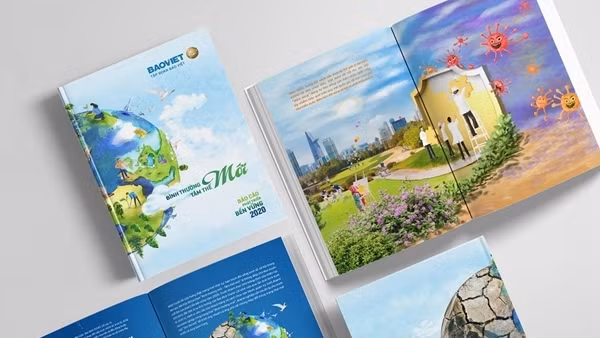 Quý I/2022, tổng doanh thu hợp nhất của Tập đoàn Bảo Việt đạt 13.158 tỷ đồng ảnh 3