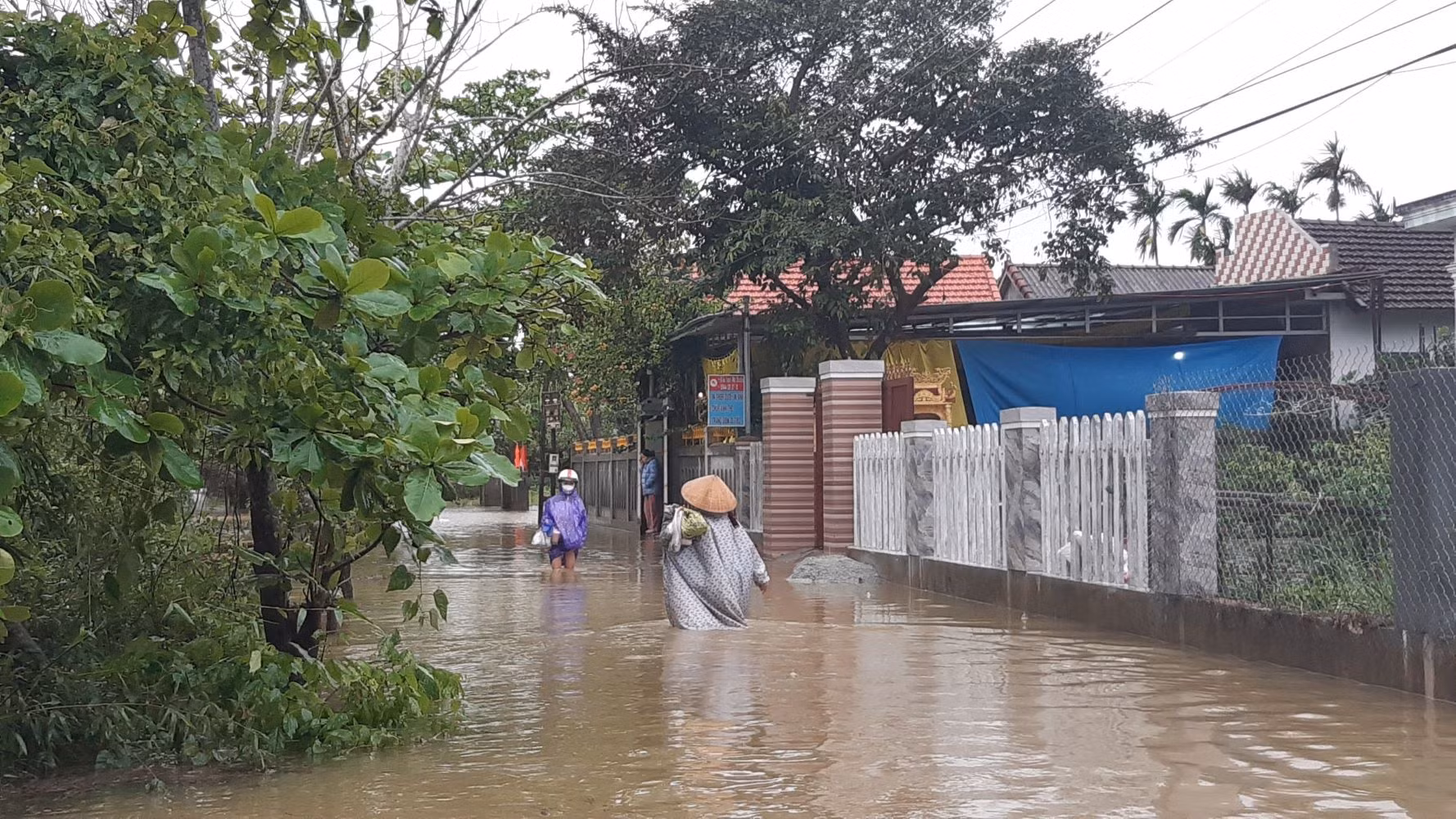 Lũ trái mùa nhấn chìm hàng nghìn héc ta lúa, hoa màu ở Thừa Thiên-Huế -0