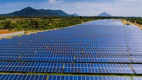 Kẻ trộm là... người quản lý của công ty ảnh 3