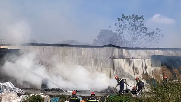 Trắng đêm dập tắt đám cháy rừng ở Hải Phòng
