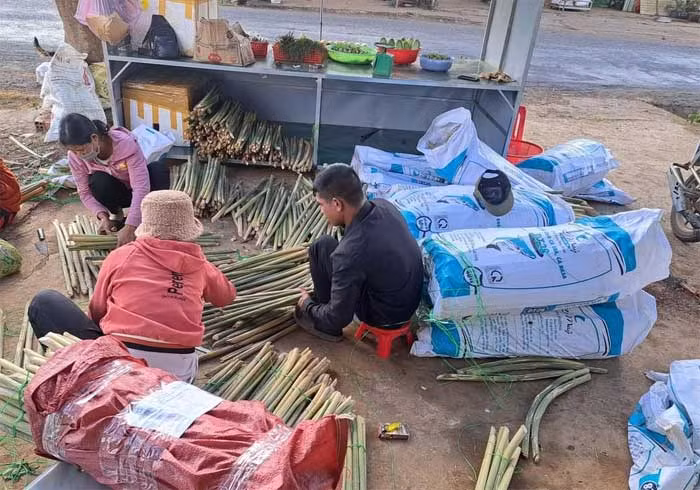 Xông đất rừng đầu năm -0