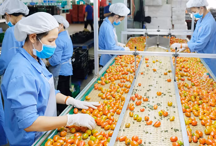 Xuất khẩu nông sản khởi sắc đầu năm -0