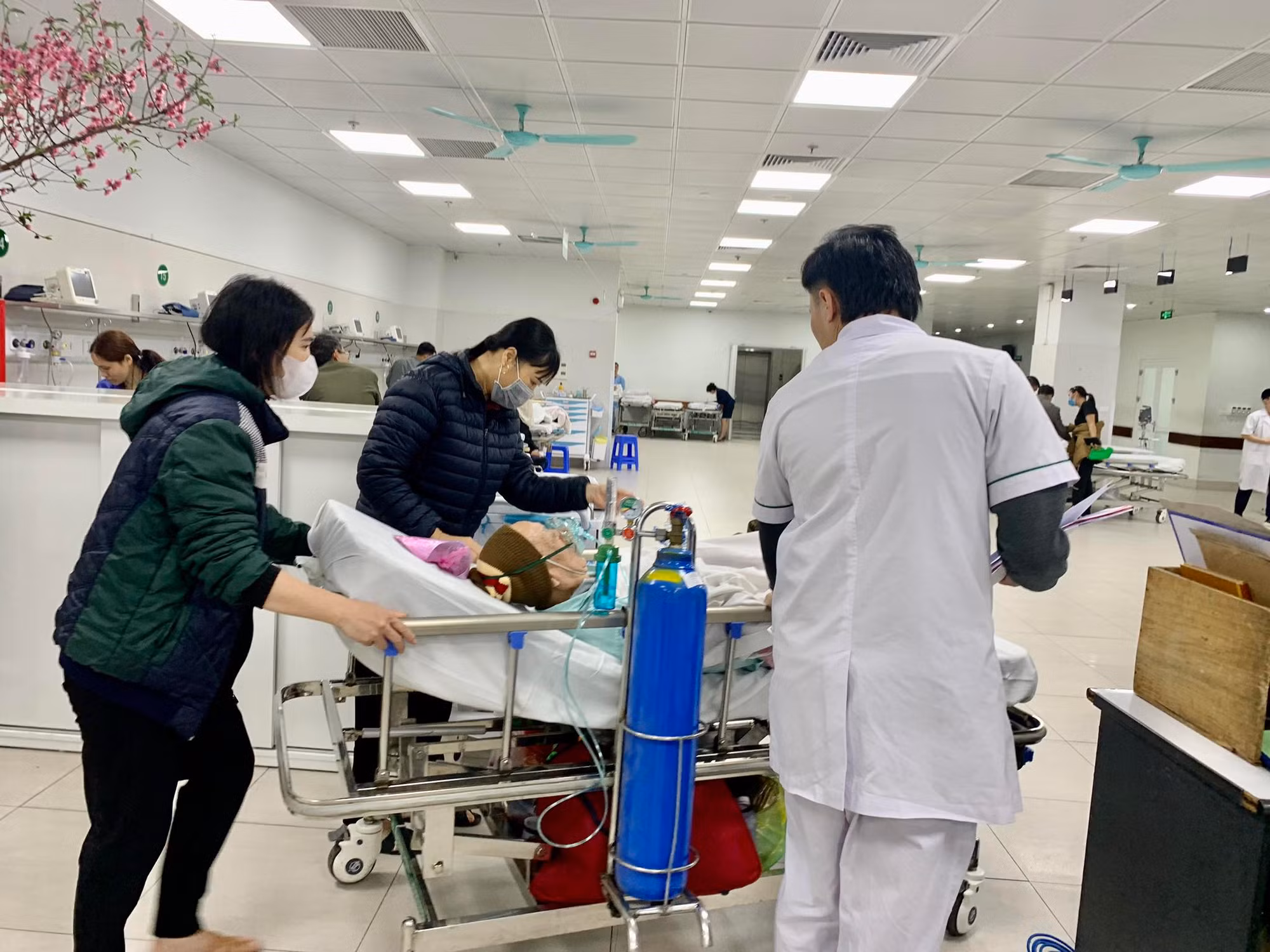 Một nửa số ca cấp cứu tai nạn giao thông ở Bệnh viện Hữu nghị Việt Đức có uống rượu, bia -0