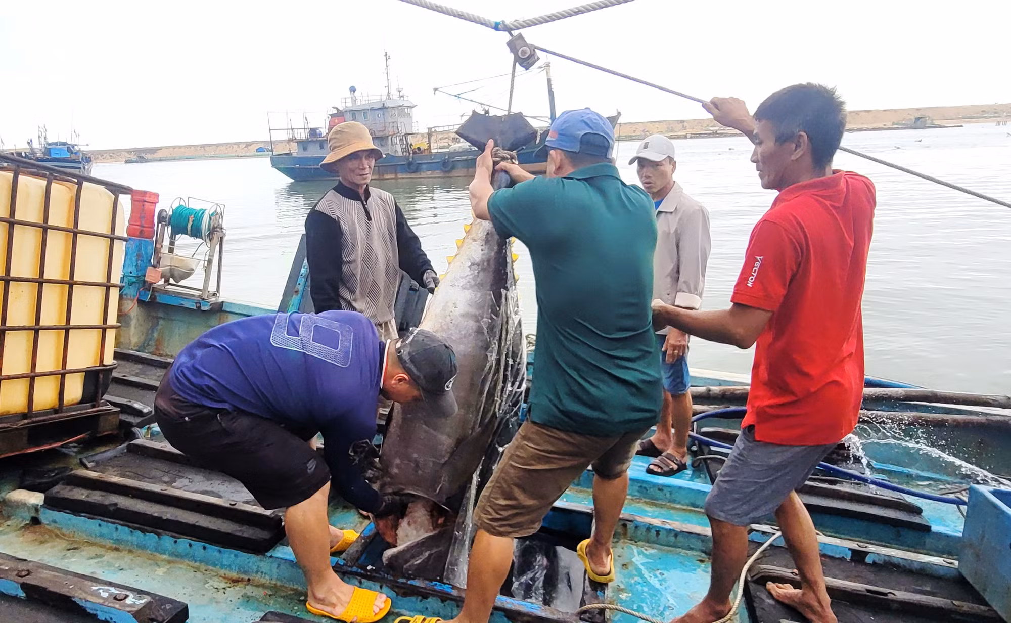 Một tàu cá của ngư dân Phú Yên câu được cá ngừ đại dương gần 100kg -0