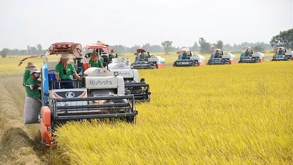 Kỳ vọng xuất khẩu năm 2024 khởi sắc