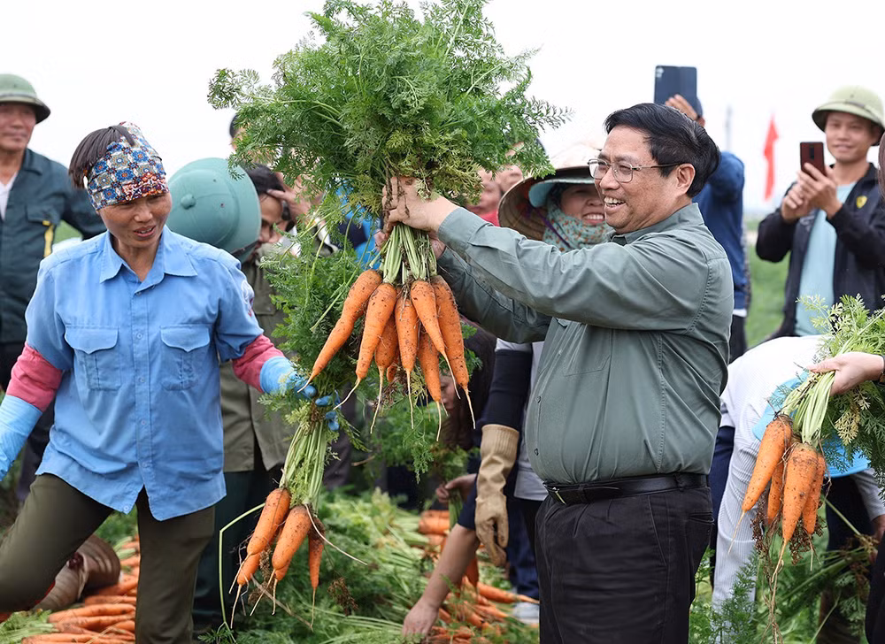 vna_potal_thu_tuong_pham_minh_chinh_tham_mo_hinh_san_xuat_nong_nghiep_xuat_khau_tai_hai_duong_7226770.jpg -0