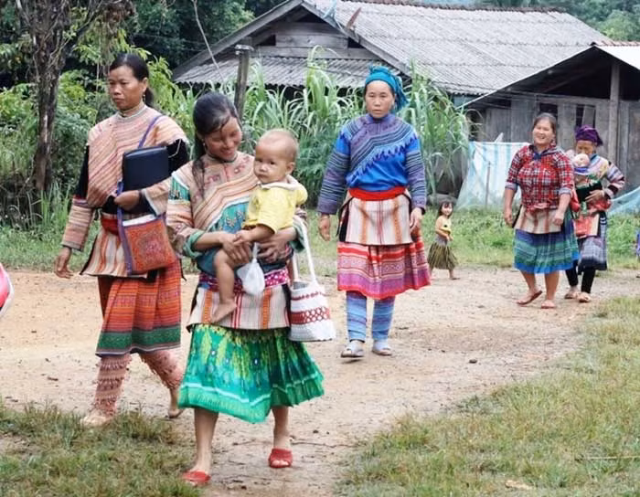 Xông đất rừng đầu năm -0