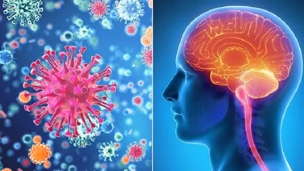 Từ vụ bé gái tử vong do viêm não mô cầu, tăng cường phòng bệnh bằng vaccine