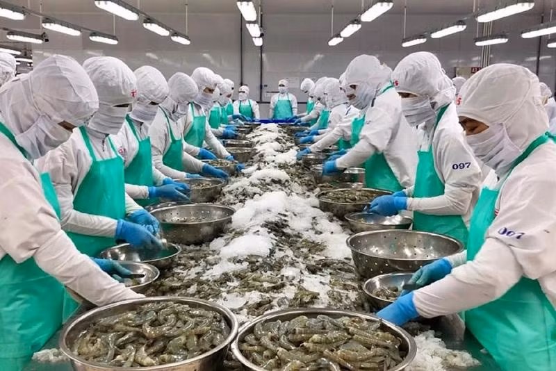Chưa ghi nhận thiệt hại hàng hóa xuất nhập khẩu Việt Nam – Israel -0