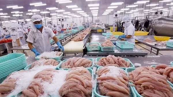 Chưa ghi nhận thiệt hại hàng hóa xuất nhập khẩu Việt Nam – Israel