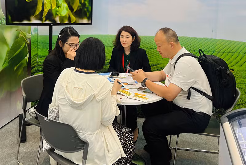 Sao Mai Agro: “Đi chậm” để làm nông sản tử tế -0