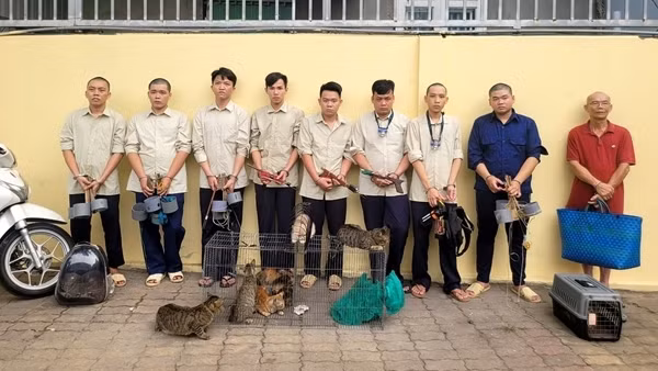 Đối tượng cuối cùng trong nhóm “dơi đêm” săn trộm mèo đã ra đầu thú