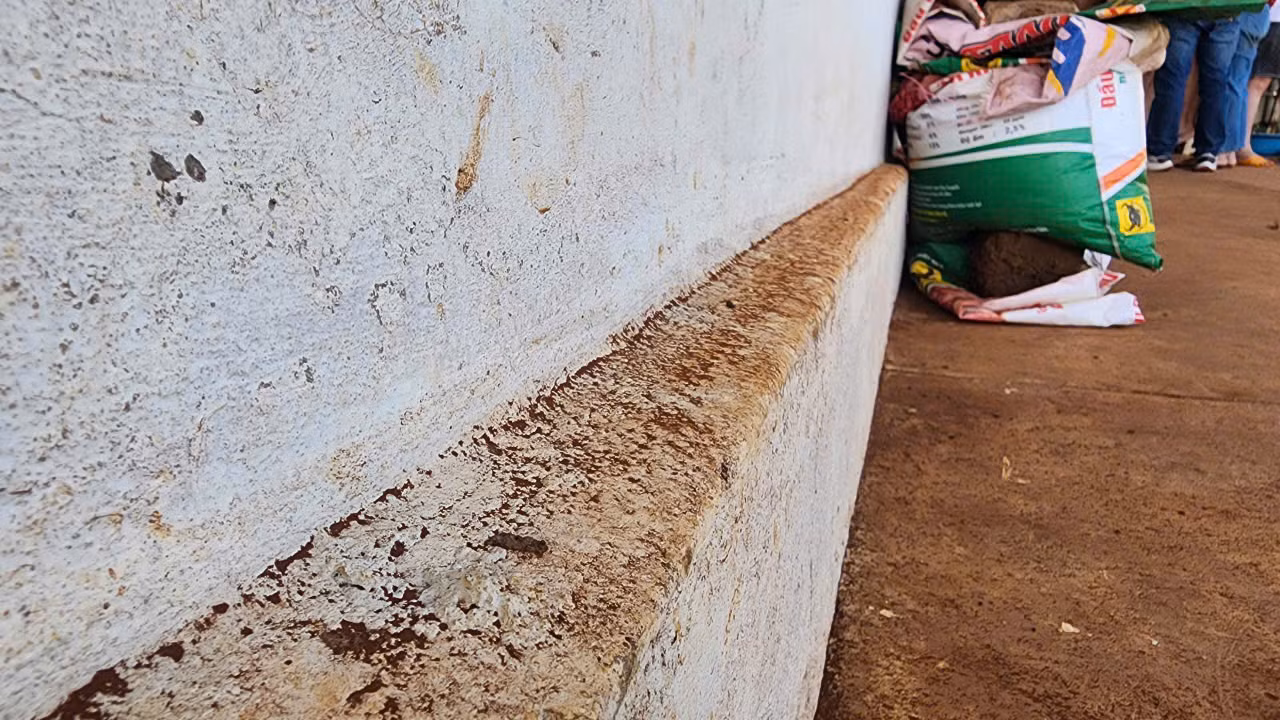 ảnh 6.jpg -1