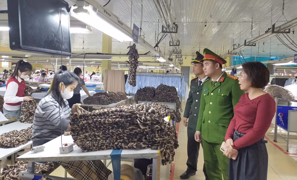 Cạm bẫy phía sau lời hứa “việc nhẹ lương cao” -0