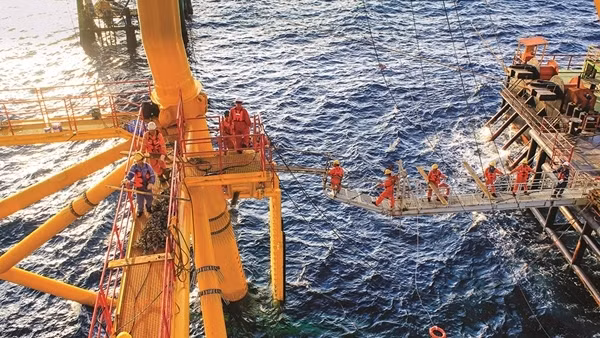 Petrovietnam tận dụng nguồn lực, thúc đẩy đầu tư cho mục tiêu phát triển bền vững lâu dài ảnh 8