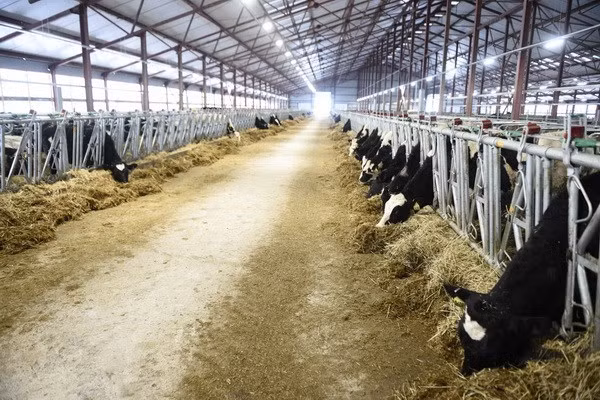 Làm sâu sắc hơn nữa quan hệ Đối tác chiến lược toàn diện Việt Nam-Nga -0