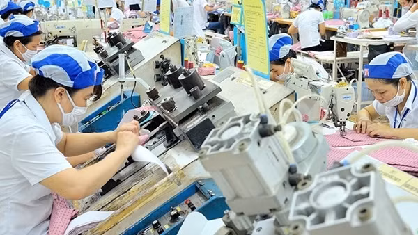 Xuất khẩu thuận lợi, tôm tăng giá ảnh 2