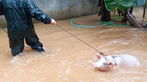 Trao tặng nhà nổi bằng bê tông cho người dân tránh lũ ảnh 2