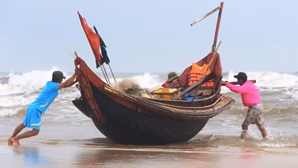 Ngư dân miền Trung nỗ lực vươn khơi trong trạng thái “bình thường mới” ảnh 2