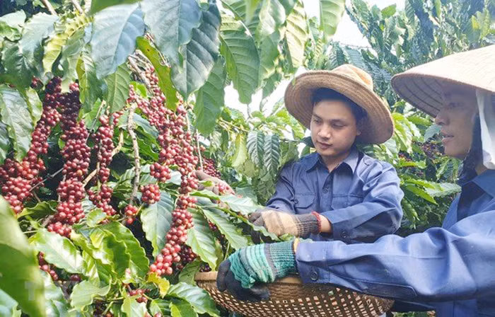 Đằng sau một con số phần trăm -0