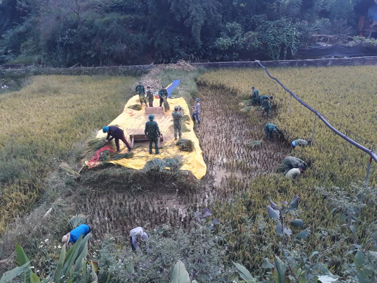 biên phòng 2.jpg -0