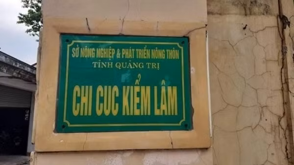 Khởi tố nguyên Chi cục trưởng Kiểm lâm Quảng Trị