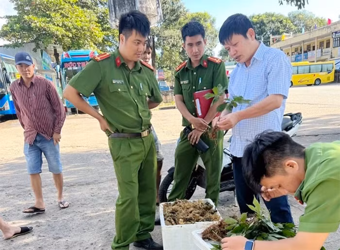 Khi quà thượng lưu bị làm giả -0