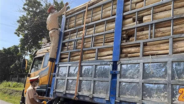 CSGT cắt nóc những xe quá tải, cồng kềnh như... núi di động