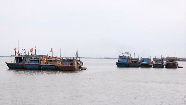 Giá dầu cao - Cơ hội để Đông Nam Á “sống xanh”? ảnh 3